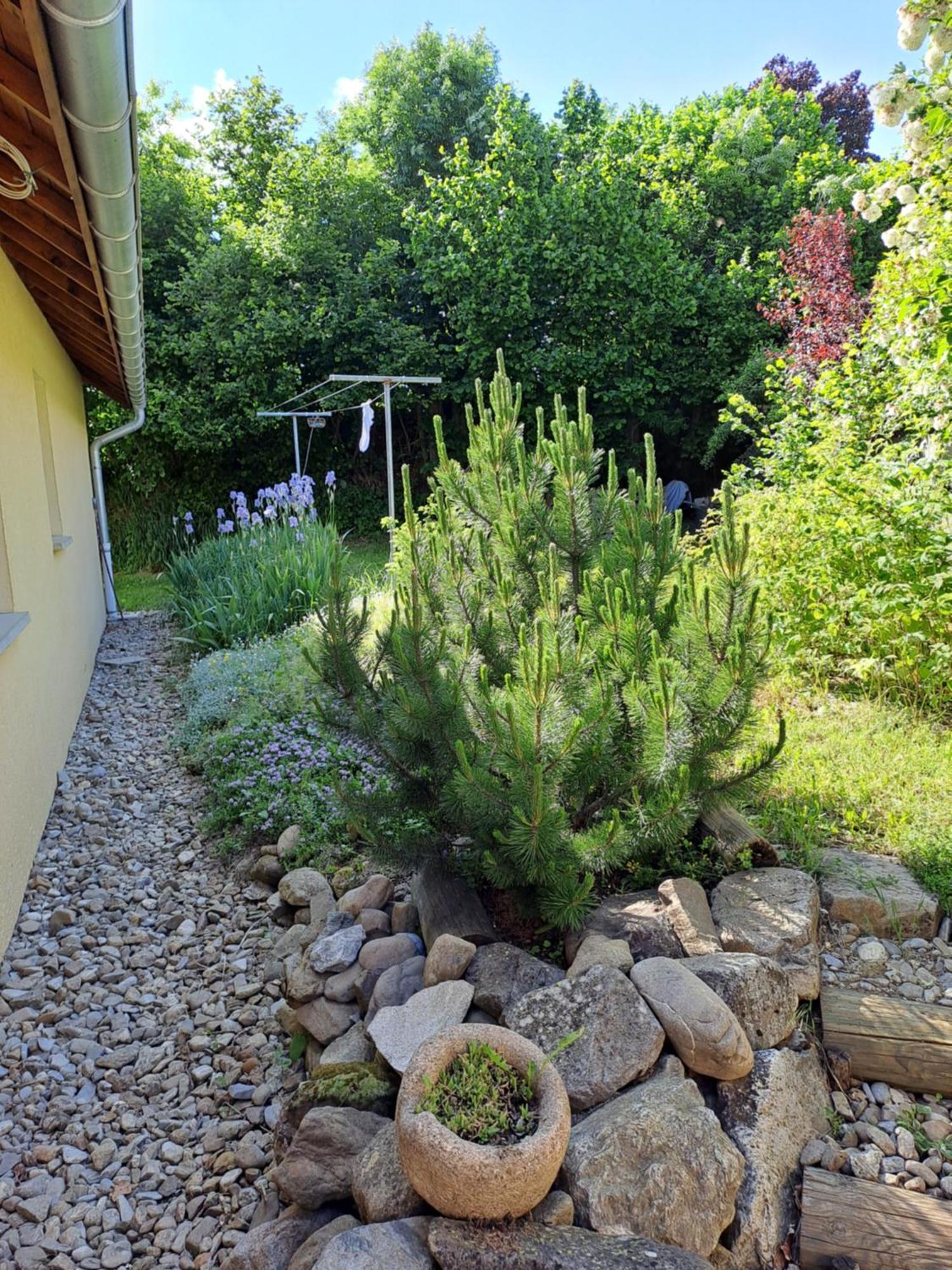 Ecrin O Champsaur Chbre * Saint-Bonnet-en-Champsaur