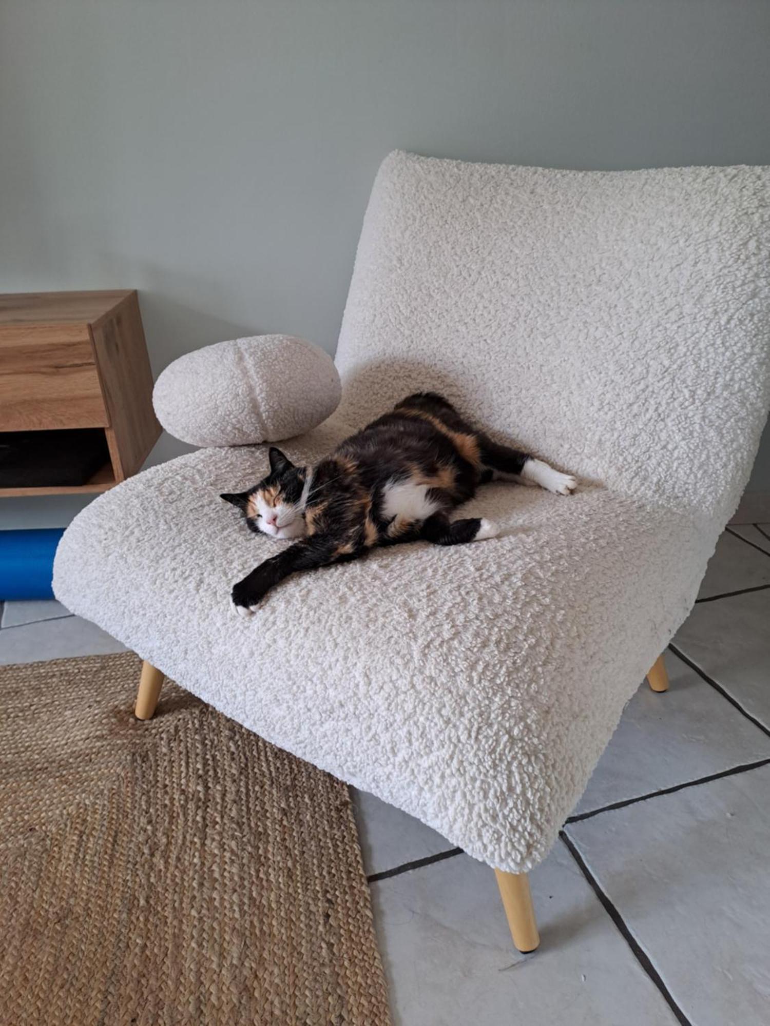 Séjour chez l'habitant Ecrin O Champsaur Chbre